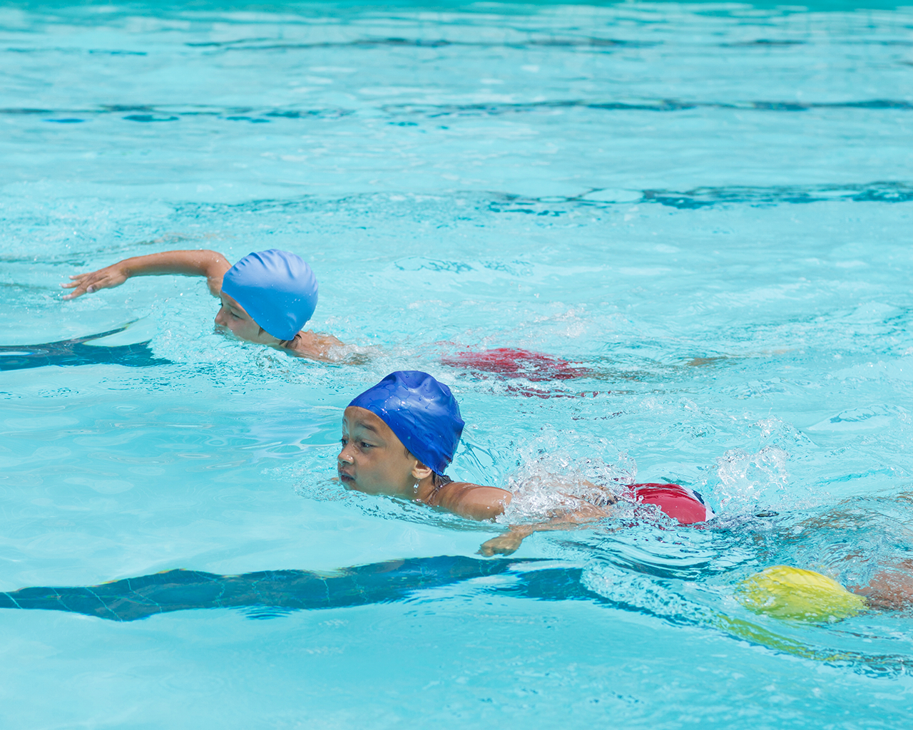 Niños compitiendo en torneo de natación